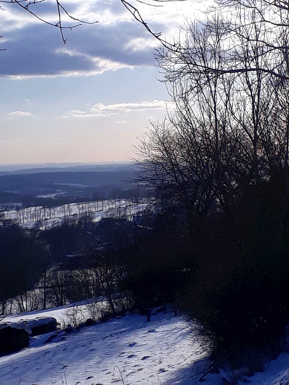 Vogelsberg Blick nach Frankfurt 2 2018