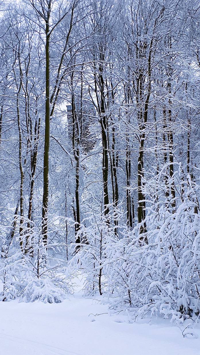 Vogelsberg Taufstein 25 1 2021