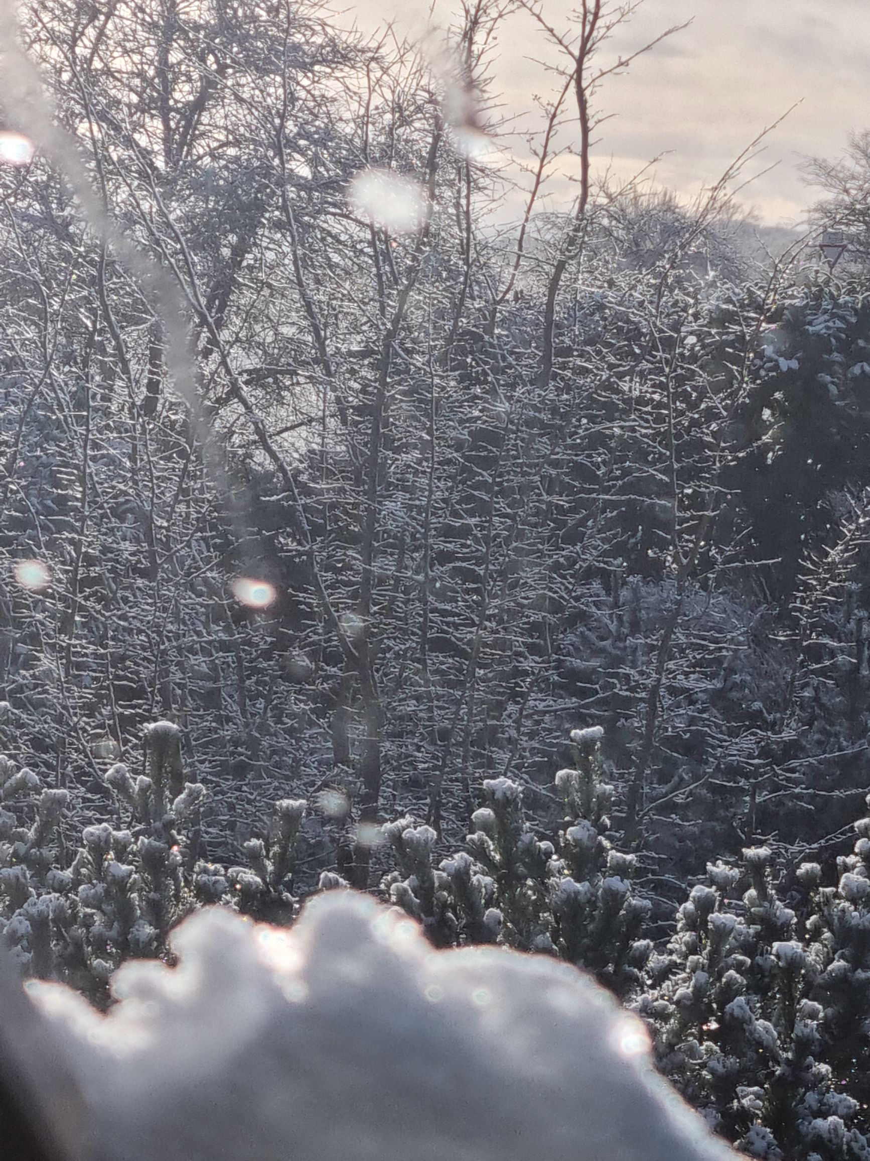 Fensterblicke zurck in den Winter (2) 25 02 22