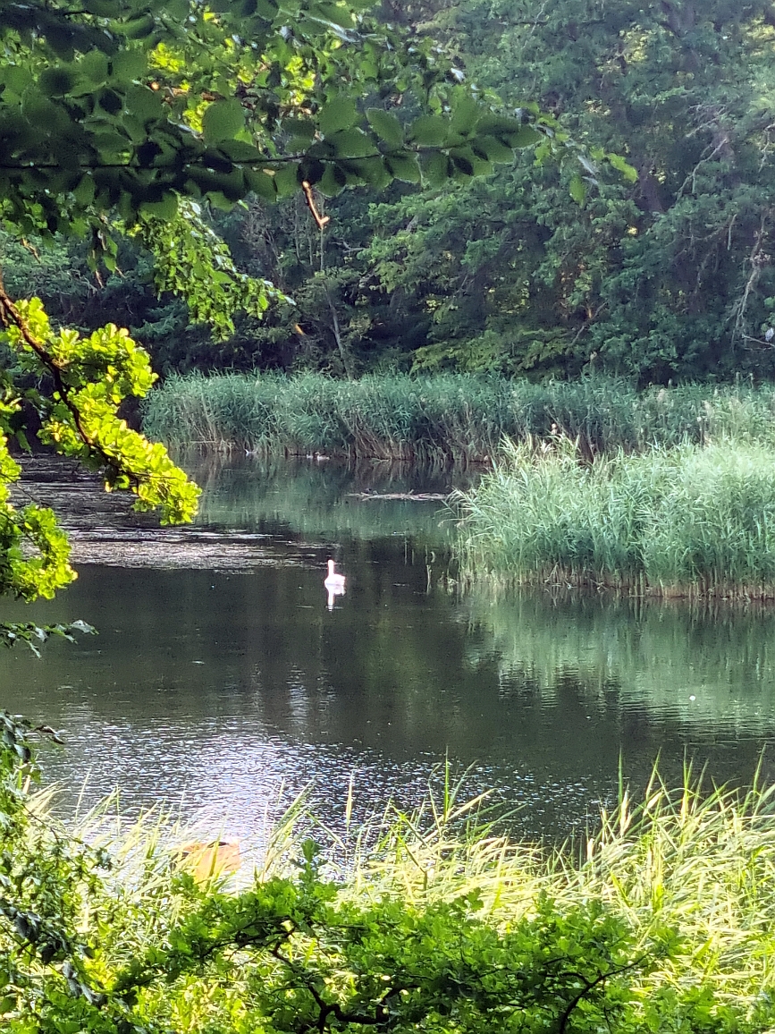 Albachtalweg Waldbad 13 07 23