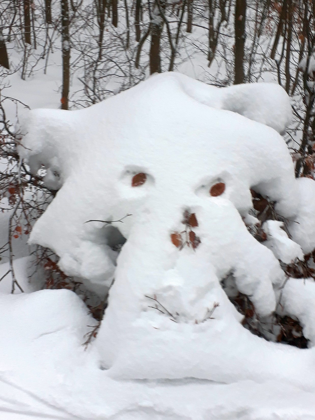 Schneegeist Vogelsberg