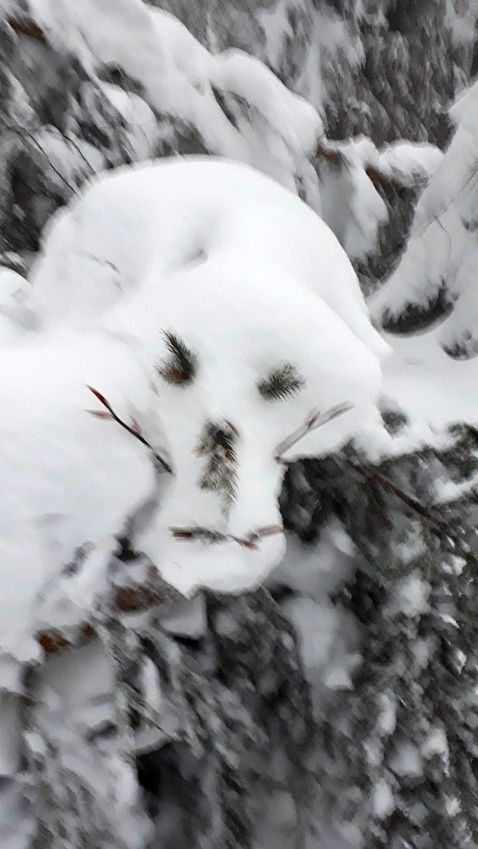 Schneegeist