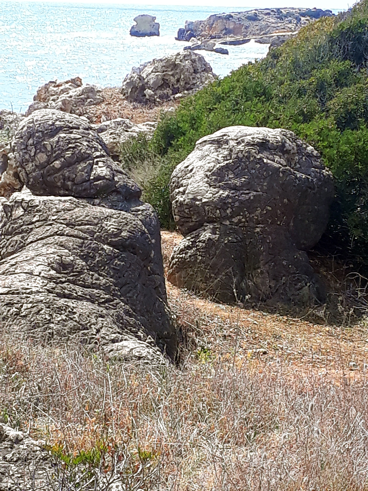 Strandkobolde im Zwiegesprch Algarve 3 2019